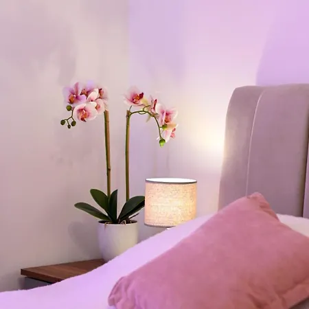 Luxury Nero Apartman Zadar